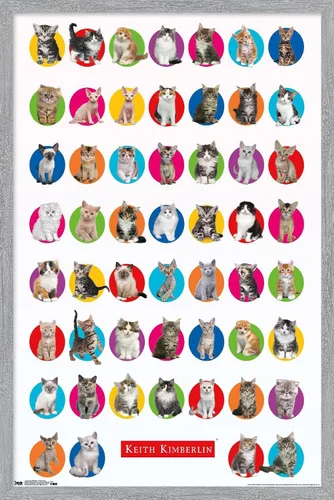 Vista 12 de Trends International Keith Kimberlin - Póster de pared de cuadrícula de gatito, 14.725 x 22.375 pulgadas, versión enmarcada de madera de granero