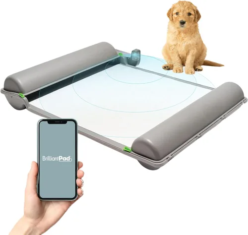 Vista 7 de BrilliantPad Orinal inteligente para interior para perros pequeños Auto limpieza con control de olores, monitoreo de salud AI, alternativa al