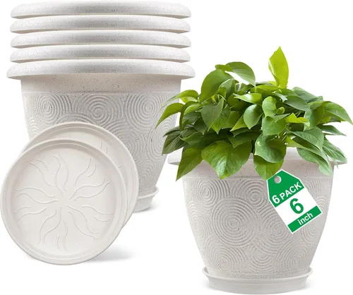 Vista 8 de Fodetyff Macetas de 6 Pulgadas para Plantas de Interior y Exterior, Juego de 6 Macetas Pequeñas de Plástico con Agujero de Drenaje y Bandeja, Maceta