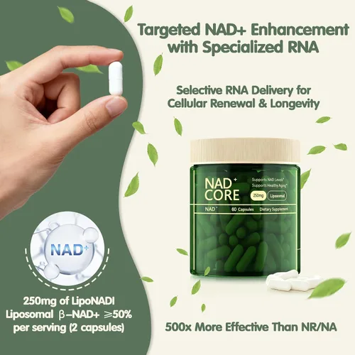 Vista 3 de NAD+ - Suplemento de ribósido de nicotinamida - Extra Fuerza NAD alternativa liposomal, apoya el envejecimiento saludable para mujeres y hombres, 60