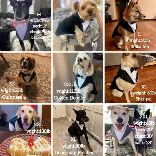 Vista 6 de DORA BRIDAL Esmoquin para perros pequeños, traje de perro y corbatín, traje formal de boda para perros, conjunto de esmoquin y bandana para Negro