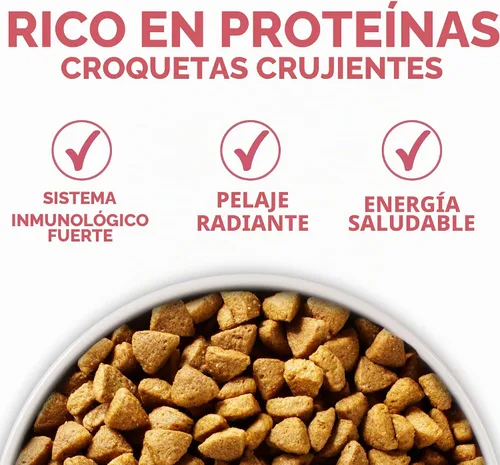 Vista 7 de Purina ONE Plus Skin & Coat - Alimento seco para perros con estómago sensible, bolsa de 8 libras Elaborado con salmón real, con vitamina E
