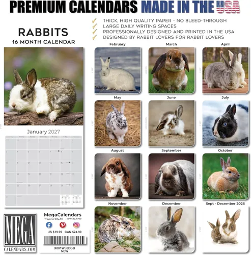 Vista 503 de Calendario de grises africanos 2025 2026 – Planificador mensual de pared de aves africanas – 12 x 18 pulgadas (abierto), calendario de pared