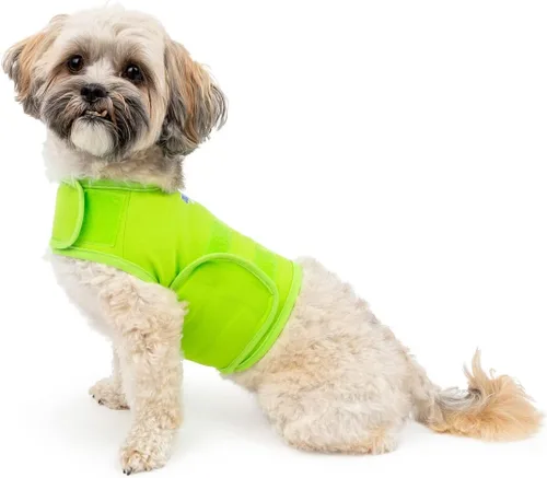 Vista 16 de Camisa Mellow Shirt para calmar la ansiedad de perros, Cypress