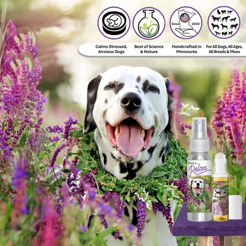 Vista 29 de The Blissful Dog Labrador Retriever Relax Roll-On Aromaterapia para perros