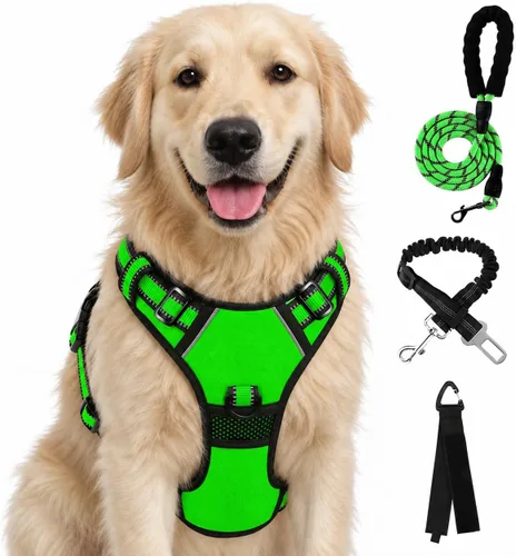 Vista 62 de FURRYFECTION - Arnés para perro a cuadros con correa y cinturón de Rosa