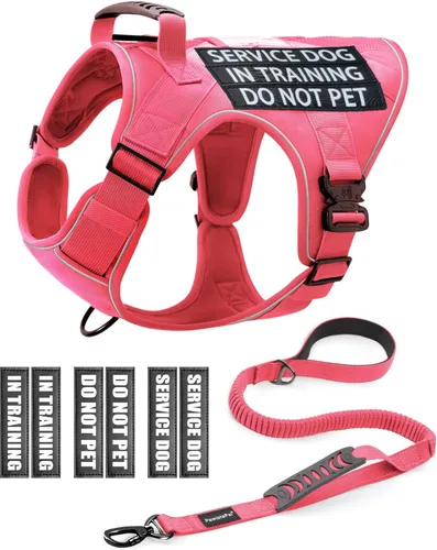 Vista 11 de Chaleco de perro de servicio para perros medianos, arnés de perro de servicio en entrenamiento con parches, chaleco ajustable para perros