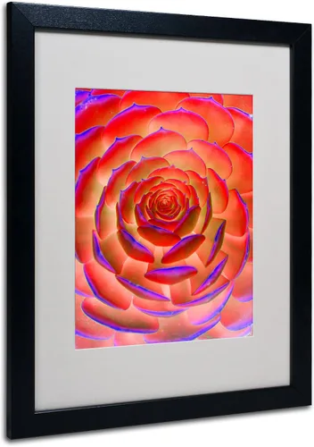 Vista 7 de Trademark Fine Art Arte de plantas en arte enmarcado mate por Patty Tuggle en marco negro, 11 x 14 pulgadas