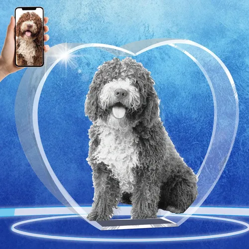 Vista 16 de Regalos conmemorativos personalizados para mascotas, marco de fotos de cristal 3D de perros o gatos, marco de fotos grabado con láser personalizado