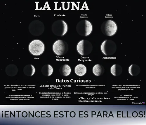 Vista 5 de Moon Phases Chart with Fun Facts - Laminated 14x19.5 - Educational Space Decor for Bedroom and Classroom