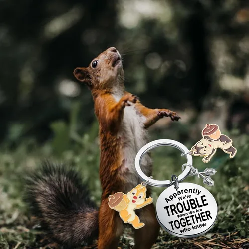 Vista 7 de KUIYAI Mercancía de dibujos animados Chip Dale Squirrel Lovers Gift Aparently We're Trouble When We Are Together