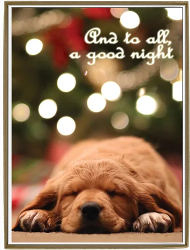Vista 30 de Glory To Dog And To All A Good Night Sleepy Beagle Puppy - Juego de 12 tarjetas y sobres de Navidad