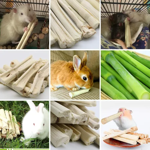 Vista 4 de BWOGUE Bocadillos para mascotas de 10.58 oz, juguete masticable de bambú dulce para ardillas, conejillos de indias, hámster chinchilla