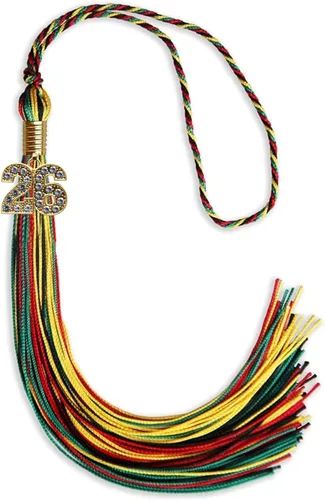 Vista 200 de Endea Graduation Borla de doble color con dije dorado (negro/oro brillante, 2022)