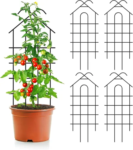 Vista 10 de ARIFARO Enrejado de metal de 24 pulgadas para plantas trepadoras, paquete de 4 enrejados para plantas en maceta, enrejado negro para interiores