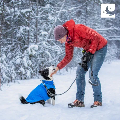 Vista 7 de RC Pet Products Cascade - Abrigo para perro, chaqueta esencial para todo tipo de clima, talla 8, azul ártico