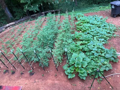 Vista 6 de 400 bolsas de plantación, bolsas transpirables no tejidas para plántulas, adecuadas para jardinería doméstica en interiores y exteriores