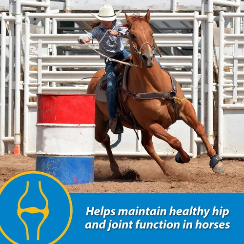 Vista 3 de Farnam Fluidflex Suplemento líquido para articulaciones para caballos, suministro para 128 días, 128 onzas Liquid Joint Supplement for Horses