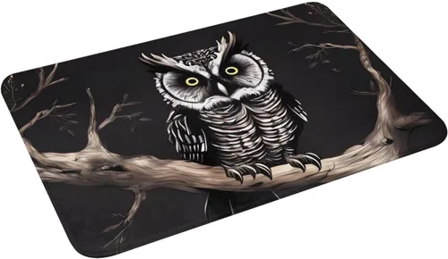 Vista 4 de Late Night Owl Indoor Doormat Washable Welcome Mats Non Slip Entryway Floor Mat Floor Outdoor Indoor Rug for Home Entrance, Outside Entry, Yard 23.6