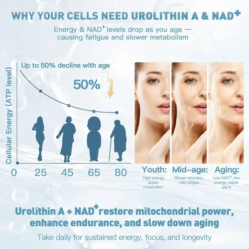 Vista 6 de Suplemento de Urolitina A con NAD+, CoQ10 y PQQ – Antioxidantes y apoyo mitocondrial para vitalidad y envejecimiento saludable – Enfoque