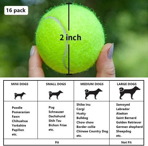 Vista 6 de BESTHLS Pelota de tenis para perros pequeños de 2 pulgadas para mascotas, cachorros, perros pequeños y pequeños, para hacer ejercicio