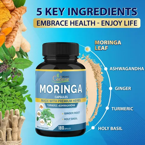 Vista 5 de Cadane Moringa Extract Capsules, suministro de 6 meses con raíz de Ashwagandha, Tulsi, jengibre, cúrcuma - 180 cápsulas
