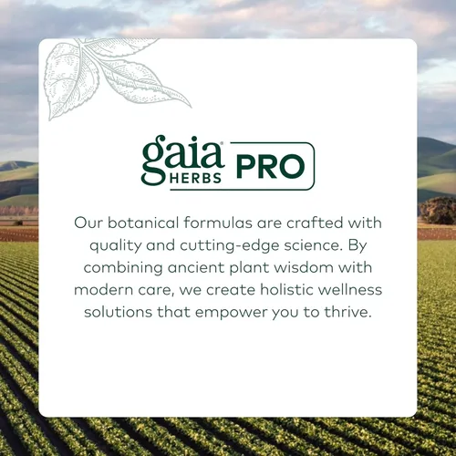 Vista 7 de GAIA HERBS PRO Ashwagandha 700 - Suplemento saludable de apoyo inmunológico* - Fórmula de una sola hierba con Ashwagandha orgánica - Vegano, sin