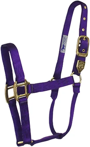 Vista 9 de Hamilton Caballo de nailon de 1 pulgada, tamaño pequeño (500-800 libras), azul baya