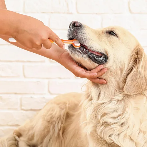 Vista 3 de Cepillo de dientes para perros, cepillo de dientes de 3 caras, 4 cepillos de dientes de triple cabeza para perros para el cuidado dental con cerdas