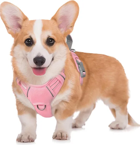 Vista 56 de BARKBAY Arnés para Perro Sin Tirones Talla Grande Arnés Reflectante para Perro con Clip Frontal y Asa de Control Fácil para Caminar Entrenar Correr