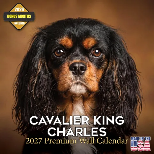 Vista 70 de Calendario de Lebrel Afgano 2025 2026, calendario mensual de pared de raza canina, 12" x 18" abierto, papel grueso sin traspaso, ideal para regalo