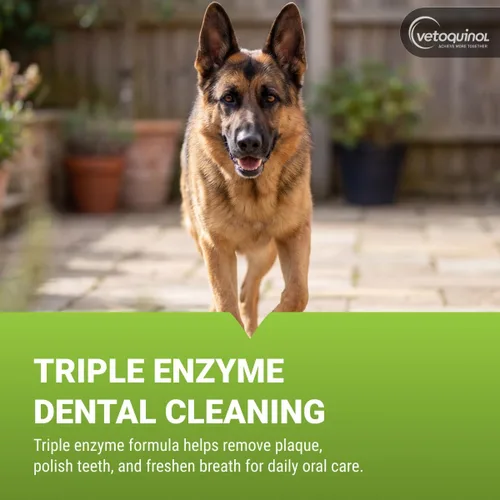 Vista 9 de Vetoquinol Enzadent - Pasta de dientes enzimática para gatos y perros, 3.2 onzas, sabor a aves de corral, fórmula triple enzimática para dientes