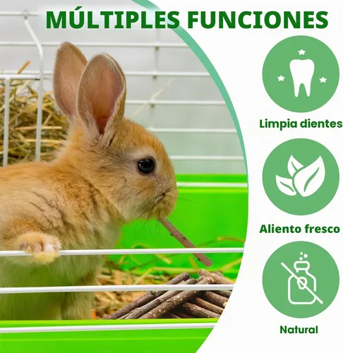 Vista 5 de Jorewood Palitos masticables de madera de manzana natural de 1 libra (16 onzas) para conejos, hámsters, chinchillas, juguete para moler dientes