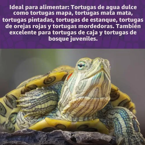 Vista 4 de Mazuri Alimento para tortugas acuáticas, gel fácil de servir, fórmula de agua dulce, bolsa de 8 onzas (8 onzas)