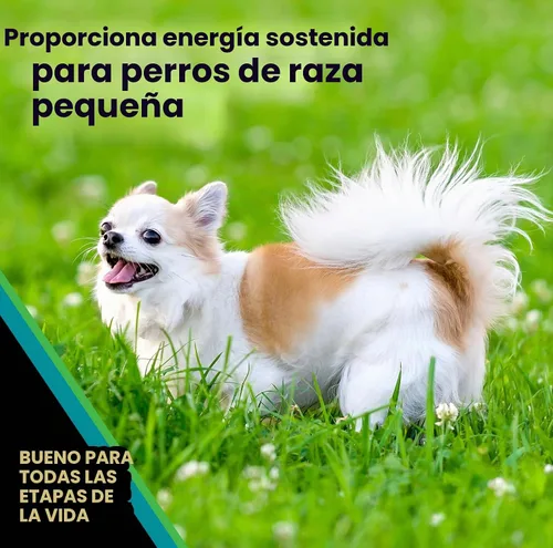 Vista 5 de VICTOR Classic - Hi-Pro para raza pequeña adulta, 5 libras Real Beef 1st Ingredient, Small Breed Bite-Sized Kibble, Immune & Digestive Support
