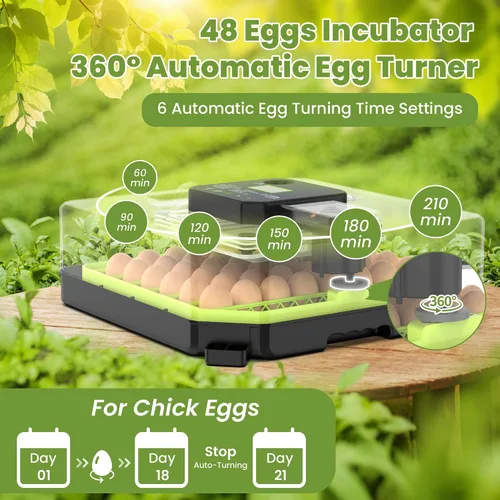 Vista 6 de Incubadora de 48 huevos para incubar huevos con giro automático de huevos, control de temperatura y humedad, incubadora de huevos con ventana