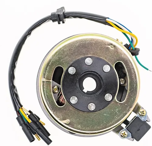 Vista 6 de Kit de rotor de 2 bobinas de encendido Magneto de estator de volante ATV Magneto placa de estator para 50cc 70cc 90cc 110cc 125cc Taotao Kazuma SSR