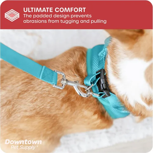 Vista 146 de Downtown Pet Supply Arnés para perro Step-in – Sin tirones, malla acolchada ajustable con ribete reflectante, correa de hebilla segura – Arnés
