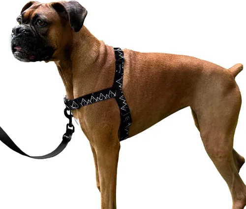 Vista 14 de ShawnCo Dream Walk Arnés para Perros Sin Tirones - Ajustable, Cómodo, Fácil de Usar, Cabestro para Mascotas para Ayudar a Detener los Tirones
