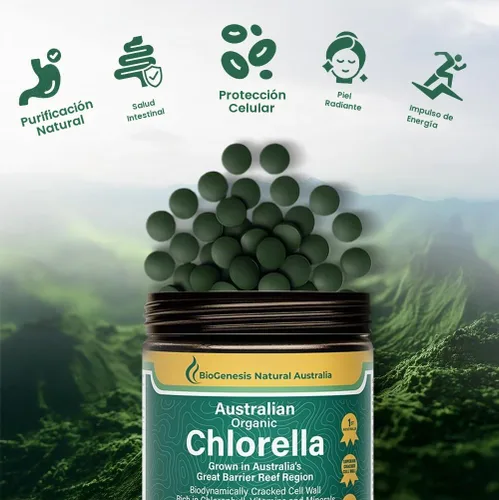 Vista 3 de Biogenesis Tabletas orgánicas de Chlorella – 300 unidades (500 mg) bayas mixtas Cultivado en Australia Pared celular agrietada BioDynamic Rico