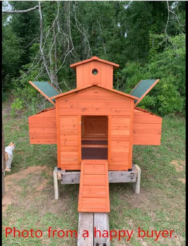 Vista 7 de Deluxe Gallinero de madera grande para gallinas, 6-10 pollos con 6 cajas de anidado