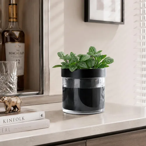 Vista 6 de Phoenix Vine Macetero de terracota de riego automático de 4 pulgadas, maceta de arcilla de terracota negra con depósito de vidrio para plantas