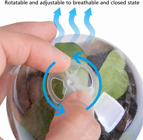 Vista 4 de EBaokuup 40 macetas biodegradables para siembra, macetas de vivero de plantas de 3.1 pulgadas con cúpula de humedad, macetas de turba para plantas