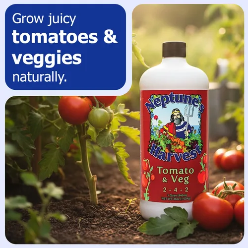 Vista 2 de Neptune's Harvest Fertilizante de fórmula de tomate y verduras TV136, 36 oz (Тwo Рack)