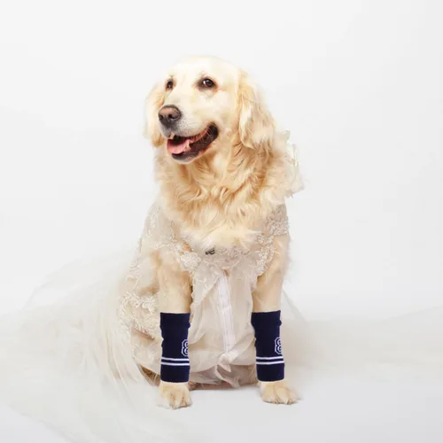 Vista 6 de Toddmomy Protector de codo de perro para mascotas, mangas de punto para piernas, cubiertas cálidas para piel sensible, elástico duradero