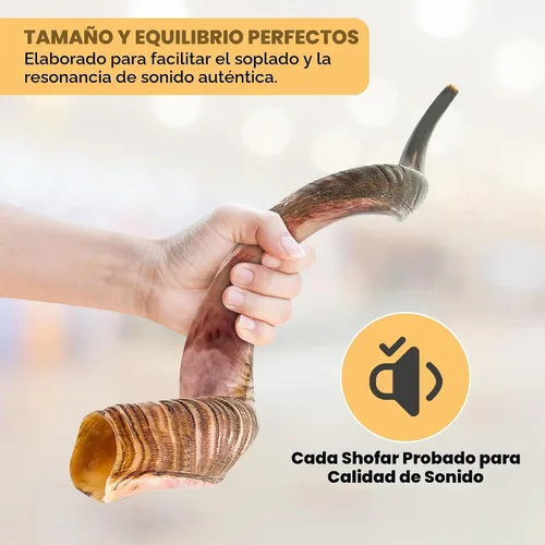 Vista 2 de YOMTOV-SHALOM Kudu Shofar a la venta Kosher de Israel Reyes Shofar Fábrica original de Shofar (13-18)