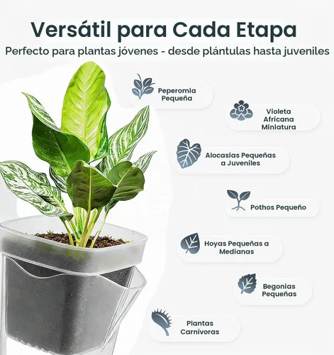 Vista 7 de Paquete de 16 macetas medianas de riego automático de 2.5 pulgadas para plantas de interior, pequeñas macetas de plástico transparente, macetas