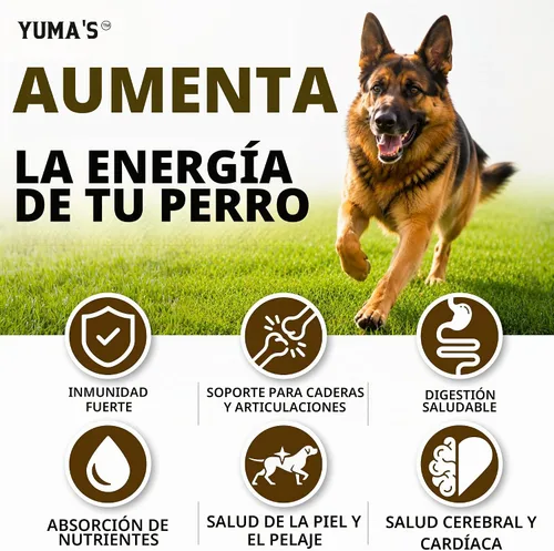 Vista 6 de Extracto de seta de cola de pavo para perros - 170 unidades - Gomitas de hongo para perros con lipomas, bultos y protuberancias - Salud inmune