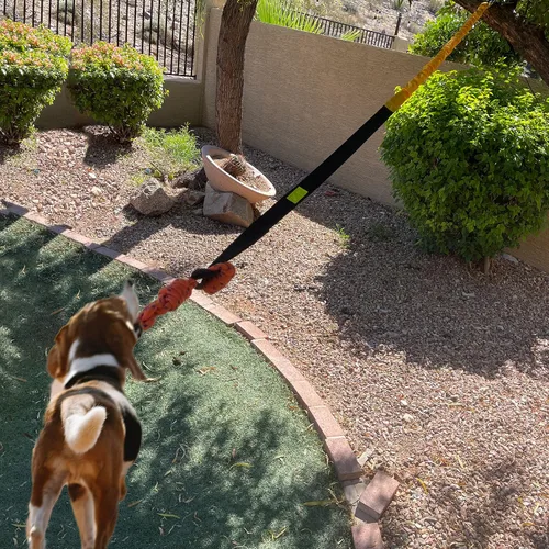 Vista 4 de Juguete elástico para perros de 20.35 pies con cuerda interactiva reforzada con dos recambios de repuesto, juguetes interactivos para perros
