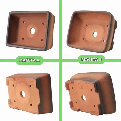 Vista 3 de MUZHI Paquete de 2 Macetas de Bonsái de Terracota de Gradación de Colores Hechas a Mano de 5 Pulgadas y 6 Pulgadas con Bandeja de Goteo, Maceta